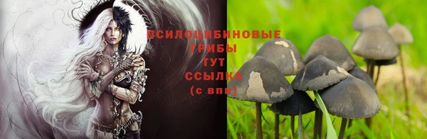 мяу мяу кристалл Нефтегорск