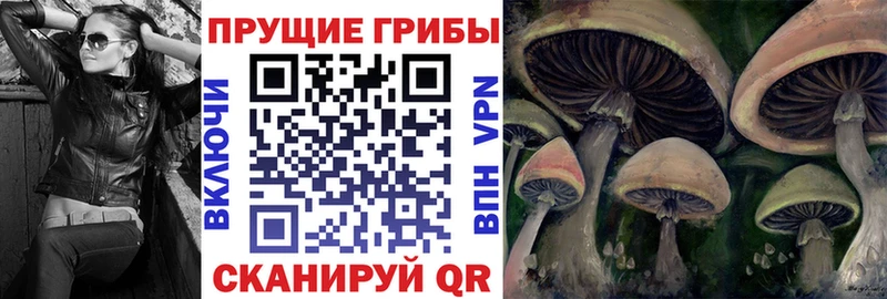 Галлюциногенные грибы ЛСД Полярные Зори