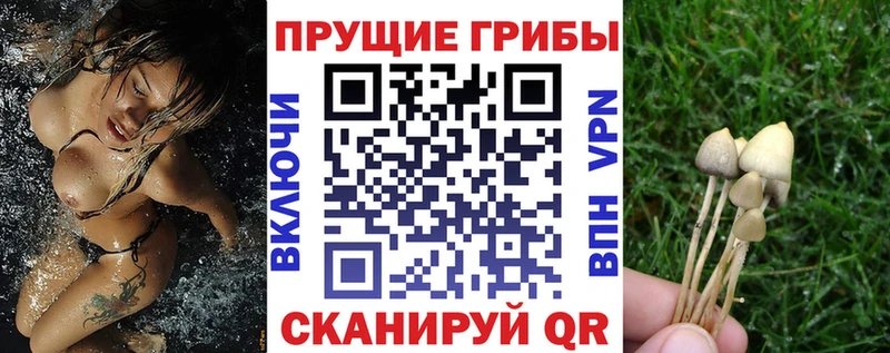 сколько стоит  Полярные Зори  Псилоцибиновые грибы MAGIC MUSHROOMS 